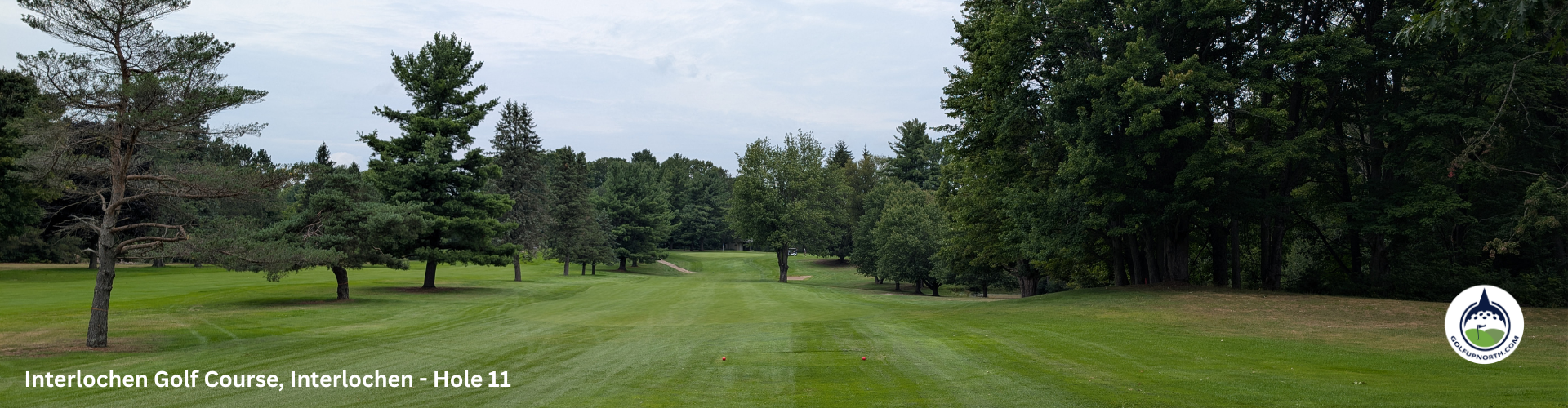 Golf Up North