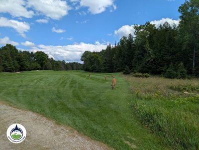 Drummond Island Resort - The Rock Hole 12 Deer