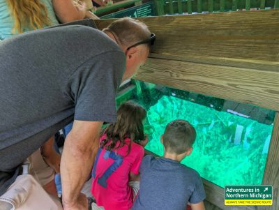 Guy, Anna and Brayden looking through the hole in the raft at the Kitch-iti-Kipi Springs