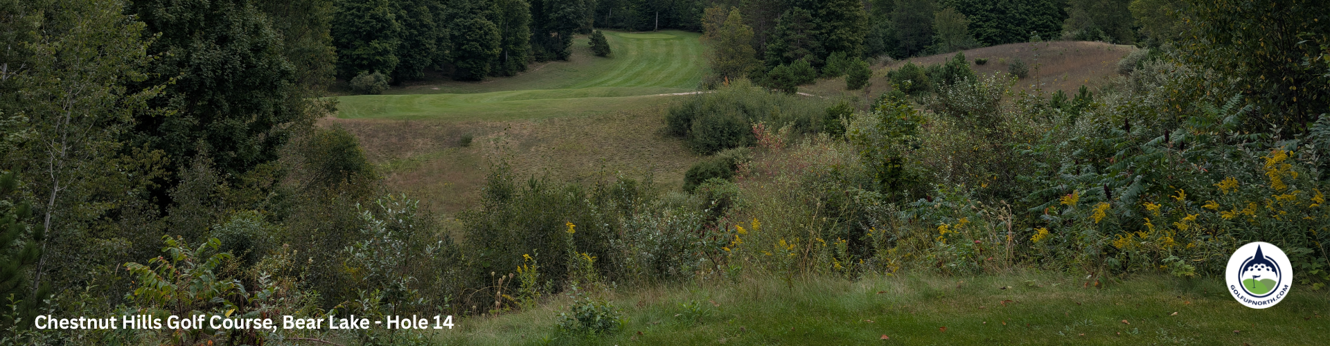 Golf Up North