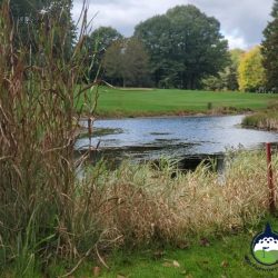 2021 Autumn Fest Interlochen Golf Course