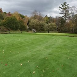 2021 Autumn Fest Interlochen Golf Course