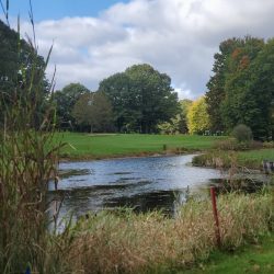 2021 Autumn Fest Interlochen Golf Course