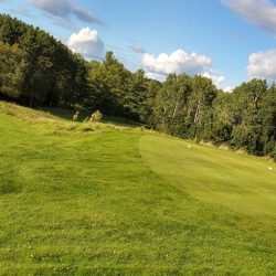 Emerald Vale - Manton August 2021