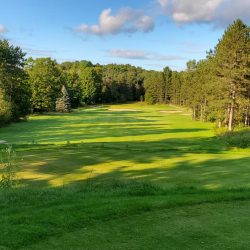 Emerald Vale - Manton August 2021