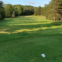 Emerald Vale - Manton August 2021