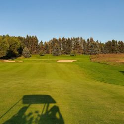 Emerald Vale - Manton August 2021