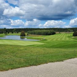 Emerald Vale - Manton August 2021