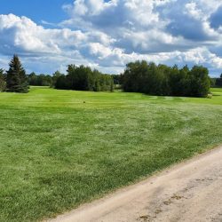 Emerald Vale - Manton August 2021