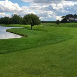Emerald Vale - Manton August 2021