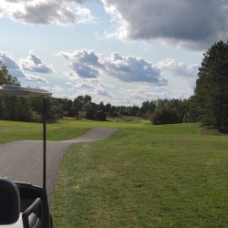 Emerald Vale - Manton August 2021