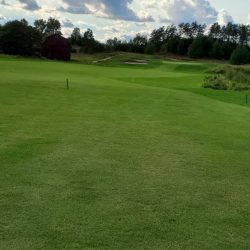 Emerald Vale - Manton August 2021
