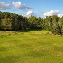 Emerald Vale - Manton August 2021