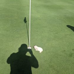 Interlochen Golf Course 2021