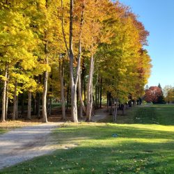 Interlochen Golf Course October 2022 - Golf Up North