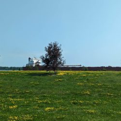 Sault Ste. Marie Country Club Freighters going by on the St. Mary River