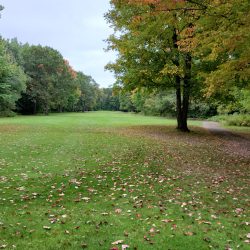 The Loon Golf Resort - The Ridge Hole 16 Par 4 view from tee box
