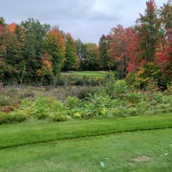 The Loon Golf Resort - The Ridge Hole 17 Par 3 view from tee box