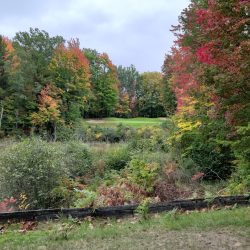 The Loon Golf Resort - The Ridge Hole 17 Par 3 view from red tee box - YES! I SHOT OVER IT AND LANDED ON THE GREEN!