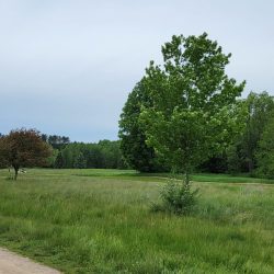 Emerald Vale Golf Club