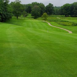 Gull Lake View Golf Resort