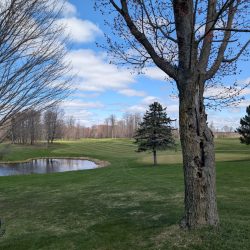 Eldorado Golf Course April 2025