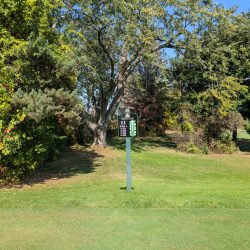 Evergreen Resort Spruce Course Hole 11