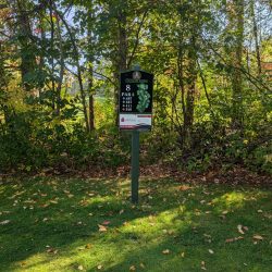 Evergreen Resort Spruce Course Hole 8