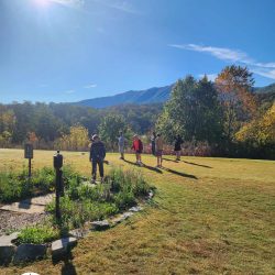 Wild Laurel Golf Club - Townsend Tennessee