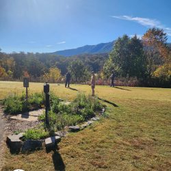 Wild Laurel Golf Club - Townsend Tennessee