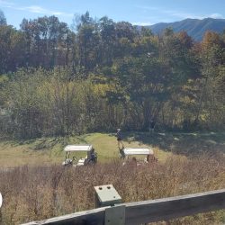 Wild Laurel Golf Club - Townsend Tennessee