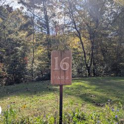 Wild Laurel Golf Club - Townsend Tennessee Hole 16