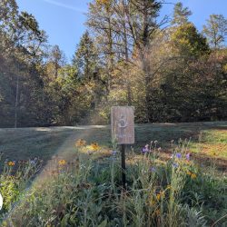 Wild Laurel Golf Club - Townsend Tennessee Hole 5