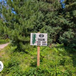 Northern Michigan University Golf Course Hole 2