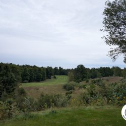 Chestnut Hills Golf Course Hole 14