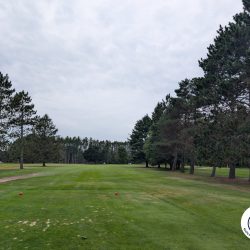 Interlochen Golf Course Hole 2