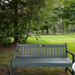 Interlochen Golf Course Memorial at Hole 12