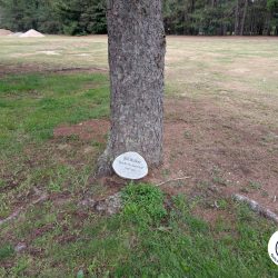 Interlochen Golf Course Memorial at Hole 14