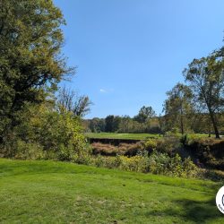 Salt Creek Golf Retreat Nashville Indiana Hole 3